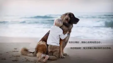 关于离别不舍的句子文案