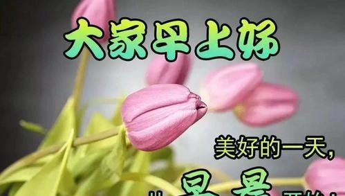 说早上好的撩人句子文案
