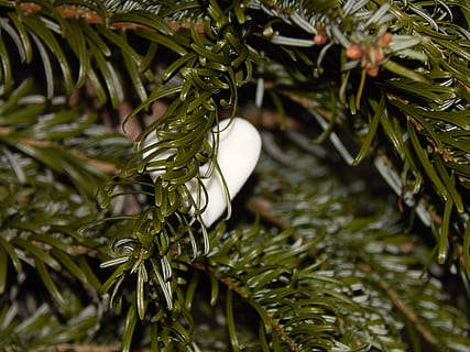 情侣语句唯美的句子文案一对