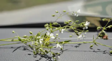 表达自己很生气的句子文案