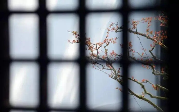 俗人自嘲的句子文案