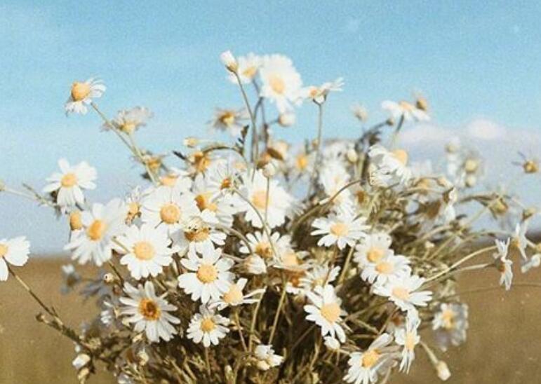 心疼关心一个人的句子文案