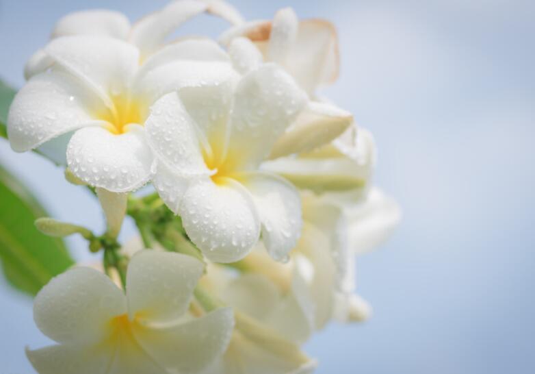 积极阳光温暖八字短句