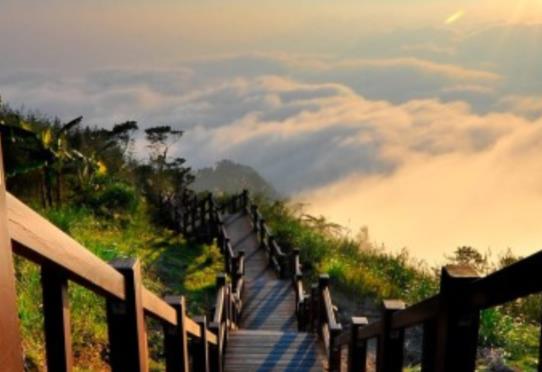 可怜的说说文案短语