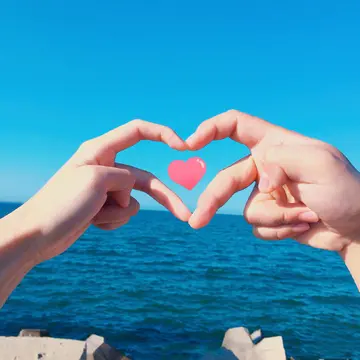 适合晚上表白的句子文案