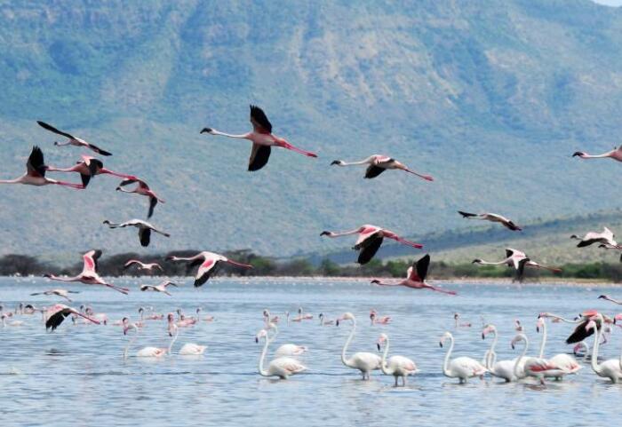 世界湿地日的句子文案