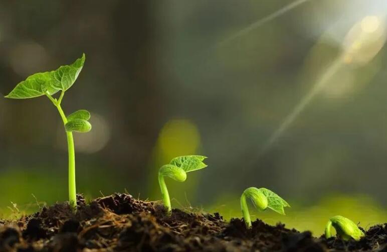 含有春风的诗句文案100首