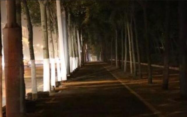 描写走夜路恐惧的句子文案