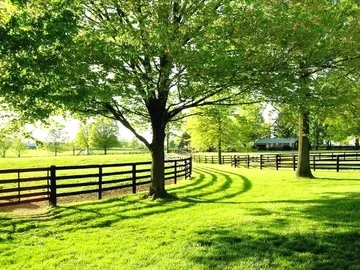 关于环境描写的句子文案