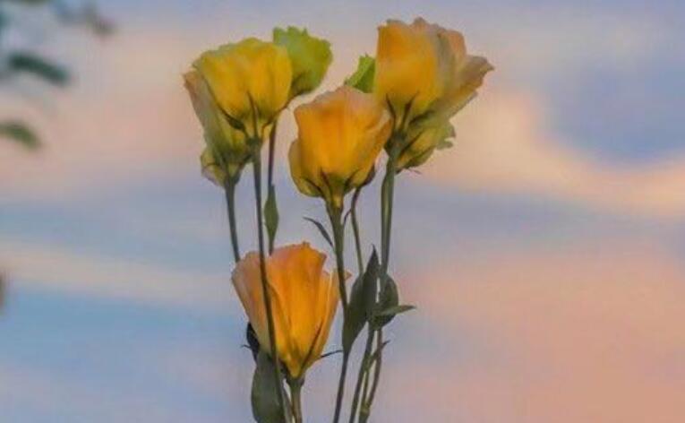 安慰抑郁症的简短句子文案