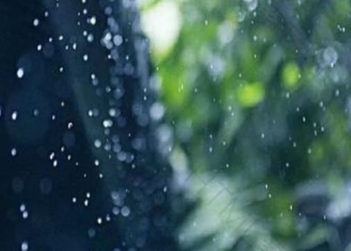 听风看雨的诗句文案