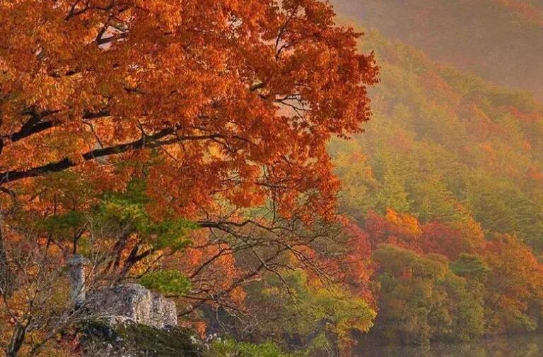 感恩遇见的简短句子文案