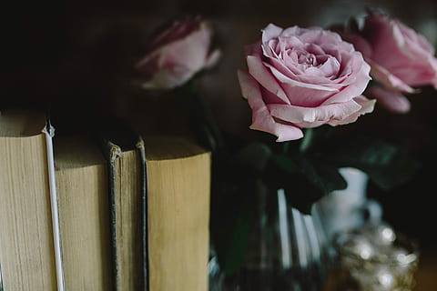 爱上一个不爱我的人说说文案