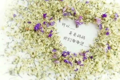 表示心情开心的句子文案摘抄