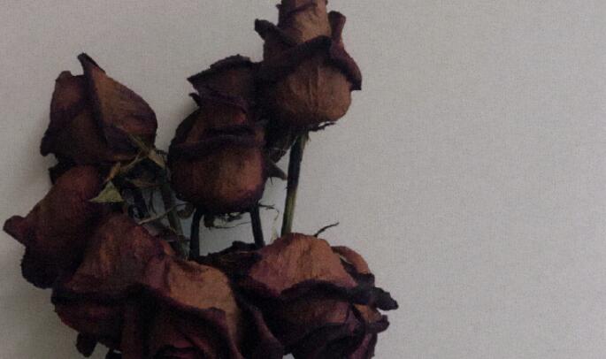 我喜欢你一段话