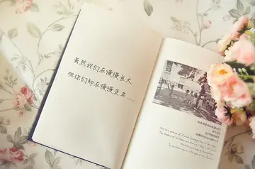 简短16字的优美句子文案
