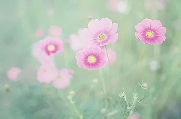 深奥有哲理含义的句子文案