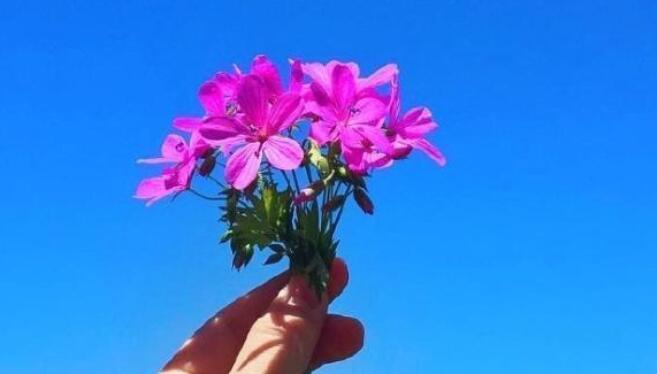 早上好发圈的句子文案简短