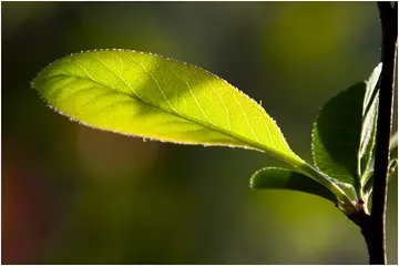 问候好久不见的朋友简短