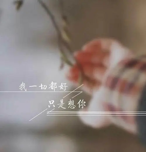 满眼都是你的说说文案伤感