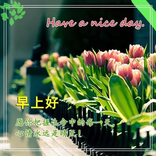 周末早安问候语正能量