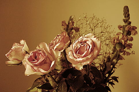 形容电视剧好看的说说文案