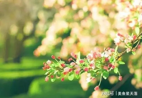 生活语录文案简短