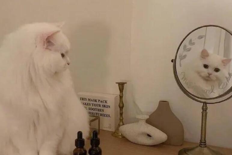 100句优美句子文案很少