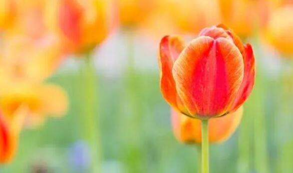 人变了的经典句子文案