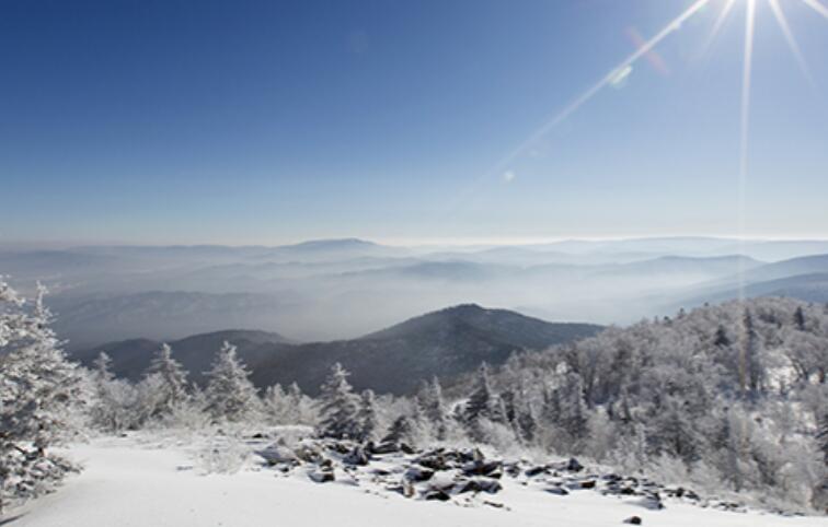 2024励志工作正能量句子文案