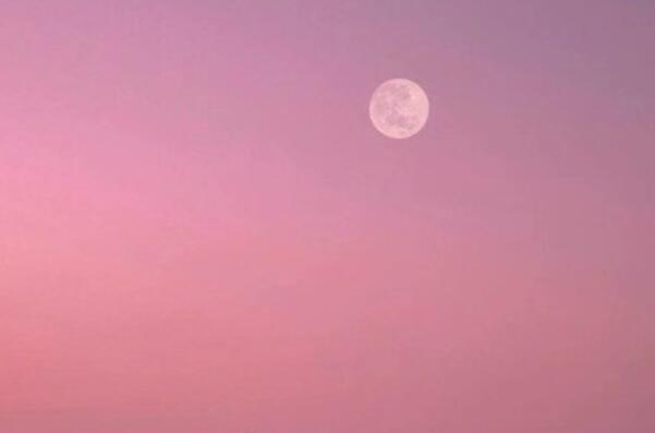 丧系图片带文案高清