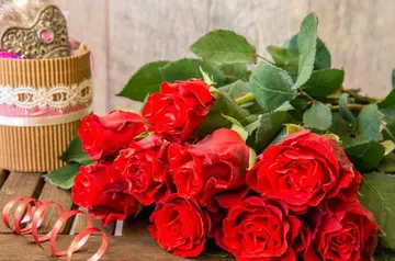 表达感谢送花人的句子文案