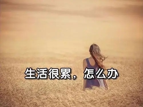 感情淡了怎么办怎么发朋友圈