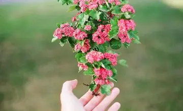 高雅有意境的句子文案