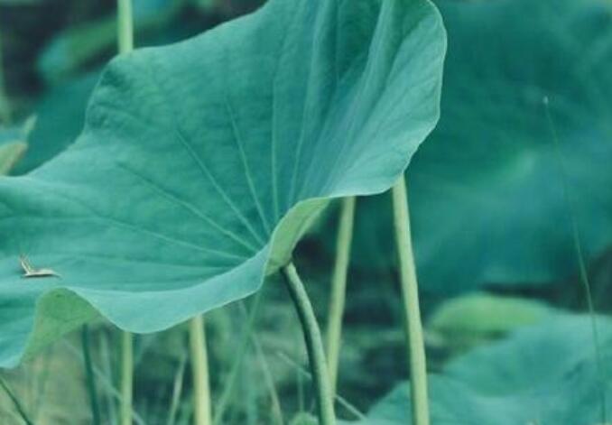 正能量唯美句子文案简短