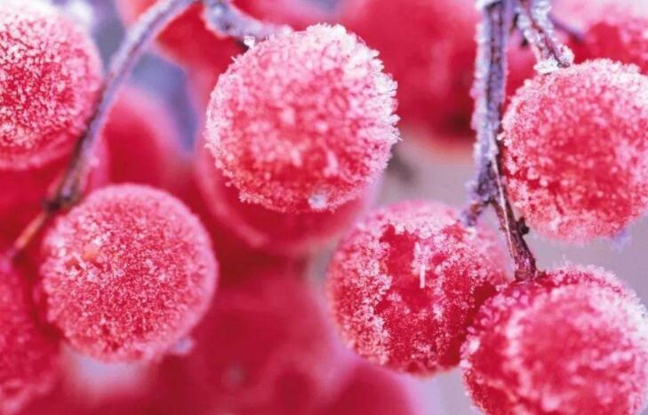 赞美霜花的诗句文案