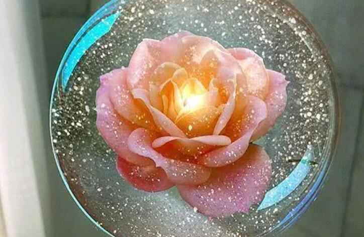 字唯美句子文案