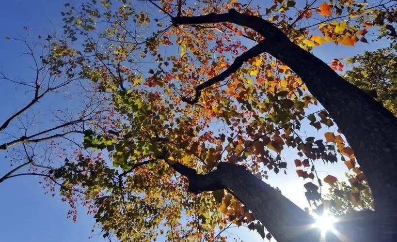 早安励志说说文案点赞超高