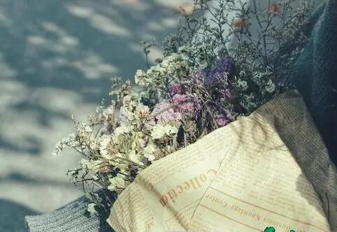 写给女生的最暖的诗