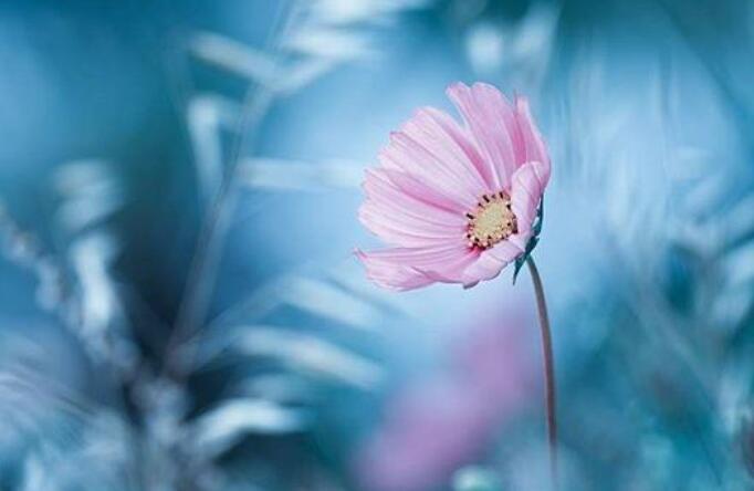 发朋友圈的养生句子文案