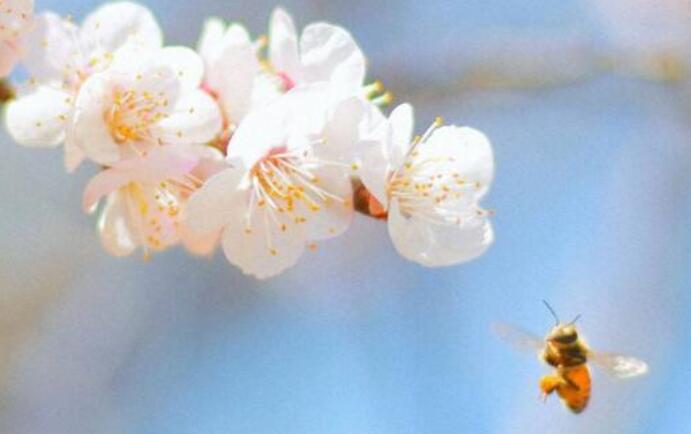 两句表现爱心的名言