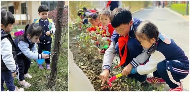 夸奖小朋友种树的句子文案