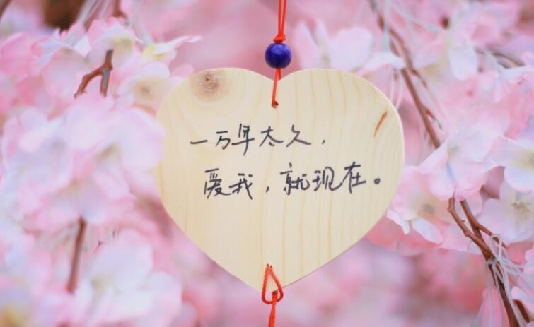 句子文案大全短的霸气爱情