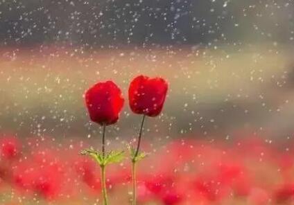 霸气经典人生洗脑语录文案