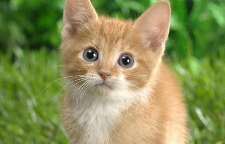 企业幽默正能量的句子文案