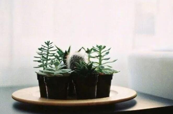 心事太多睡不着的句子文案