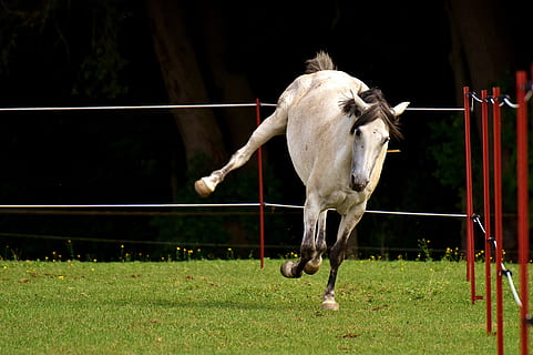 和女朋友离别的情话文案