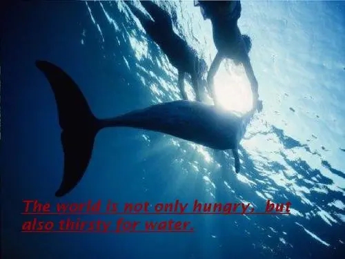 保护海洋环境的英语句子文案