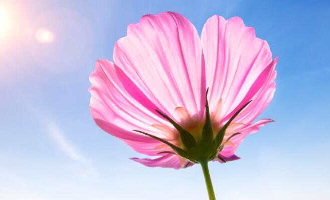 对回国的人祝福语