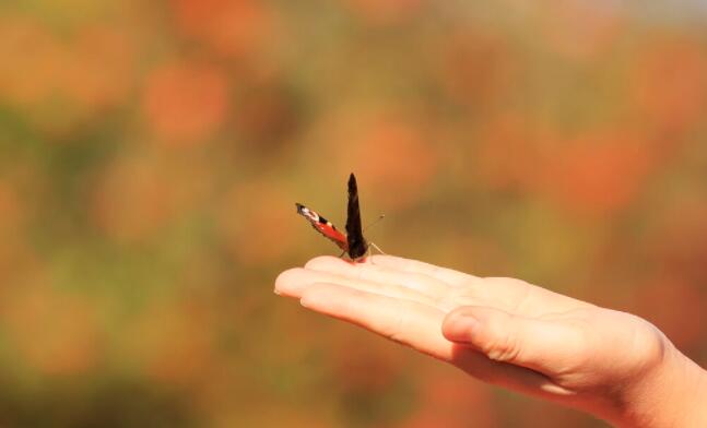 活出老年精彩的句子文案